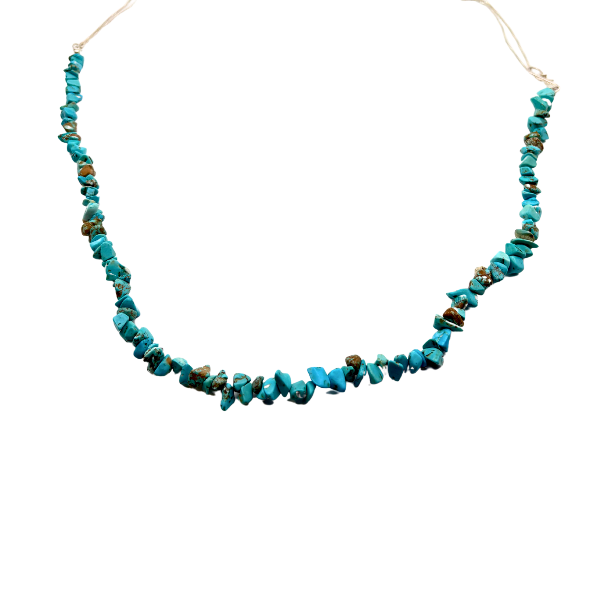 Semiprecious Gemstone Necklace-Turquoise Alejandra Collective